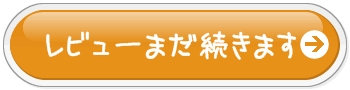 レビュー.jpg